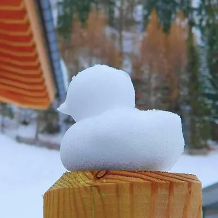 דירה Haus Fortuna *